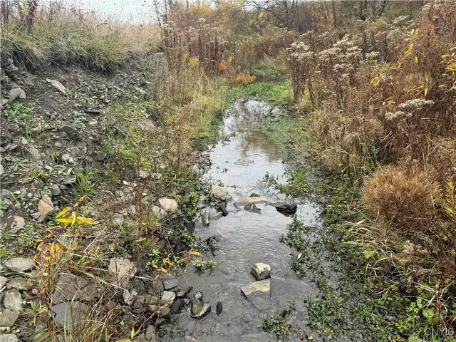 $29,400 | Dry Brook Road, Kennedy, NY 14747