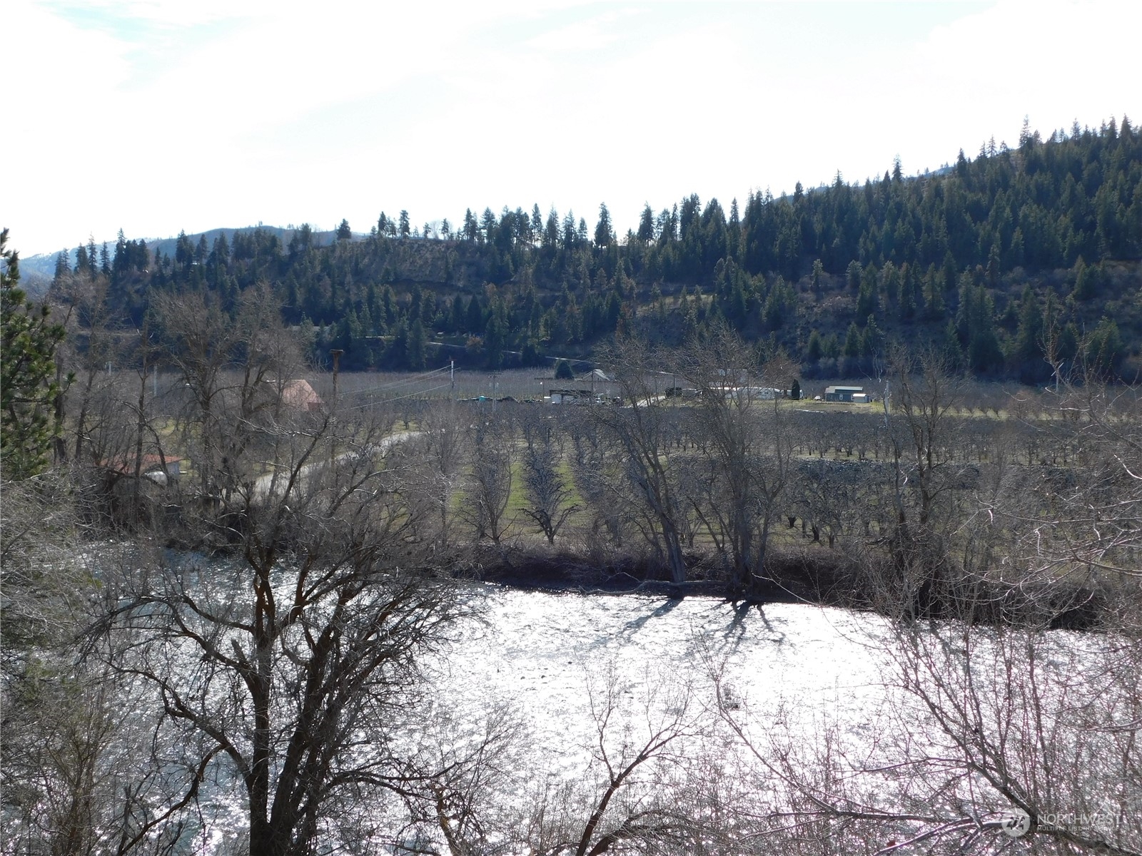 0 Turkey Shoot Road Cashmere, WA 98815 - Photo 6 of 6 Gallery Image 6