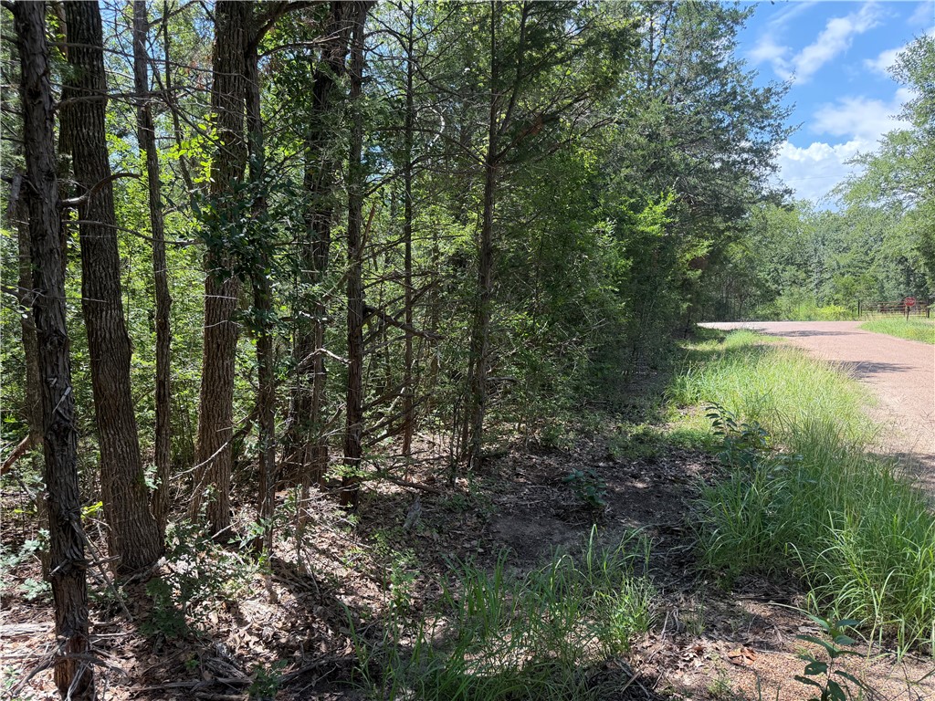 304 Overlook Loop Somerville, TX 77879 - Photo 14 of 17