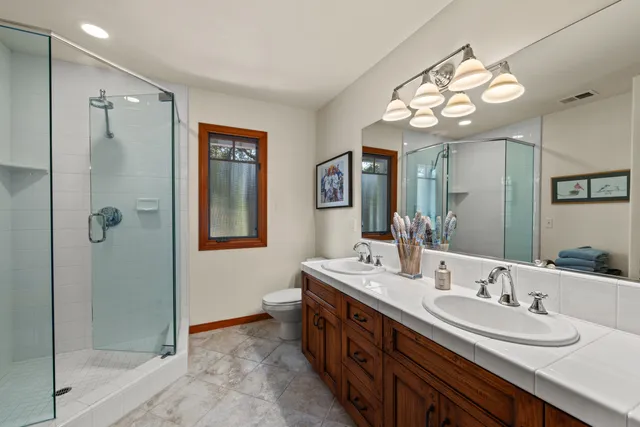 a view of a house with yard and tree s