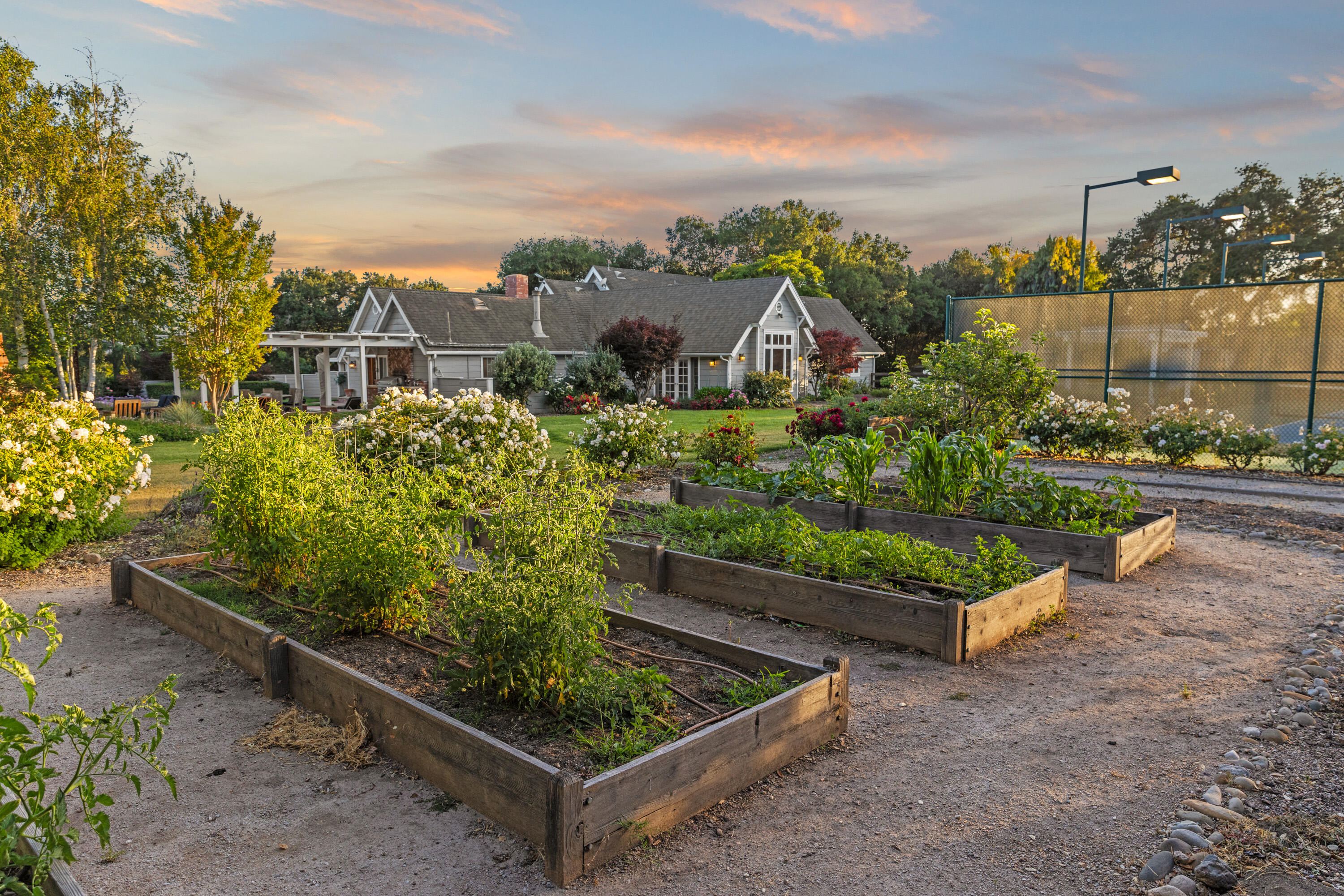 1642 Alamo Pintado Road Solvang, CA 93463 - Photo 45 of 85 a view of a garden with an outdoor seating