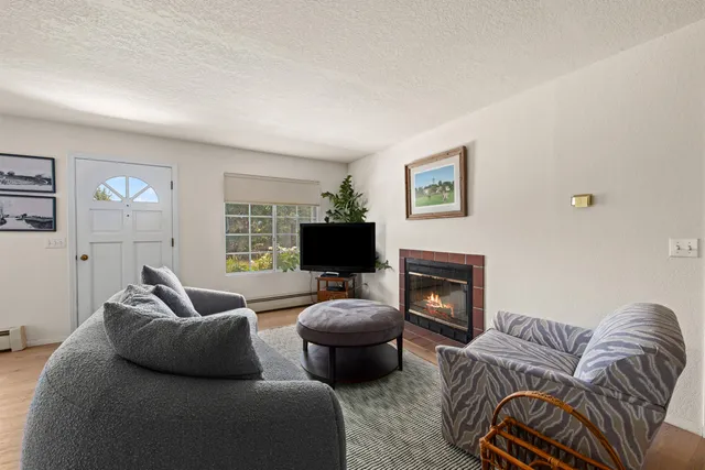 an aerial view of green landscape with trees houses and mountain view