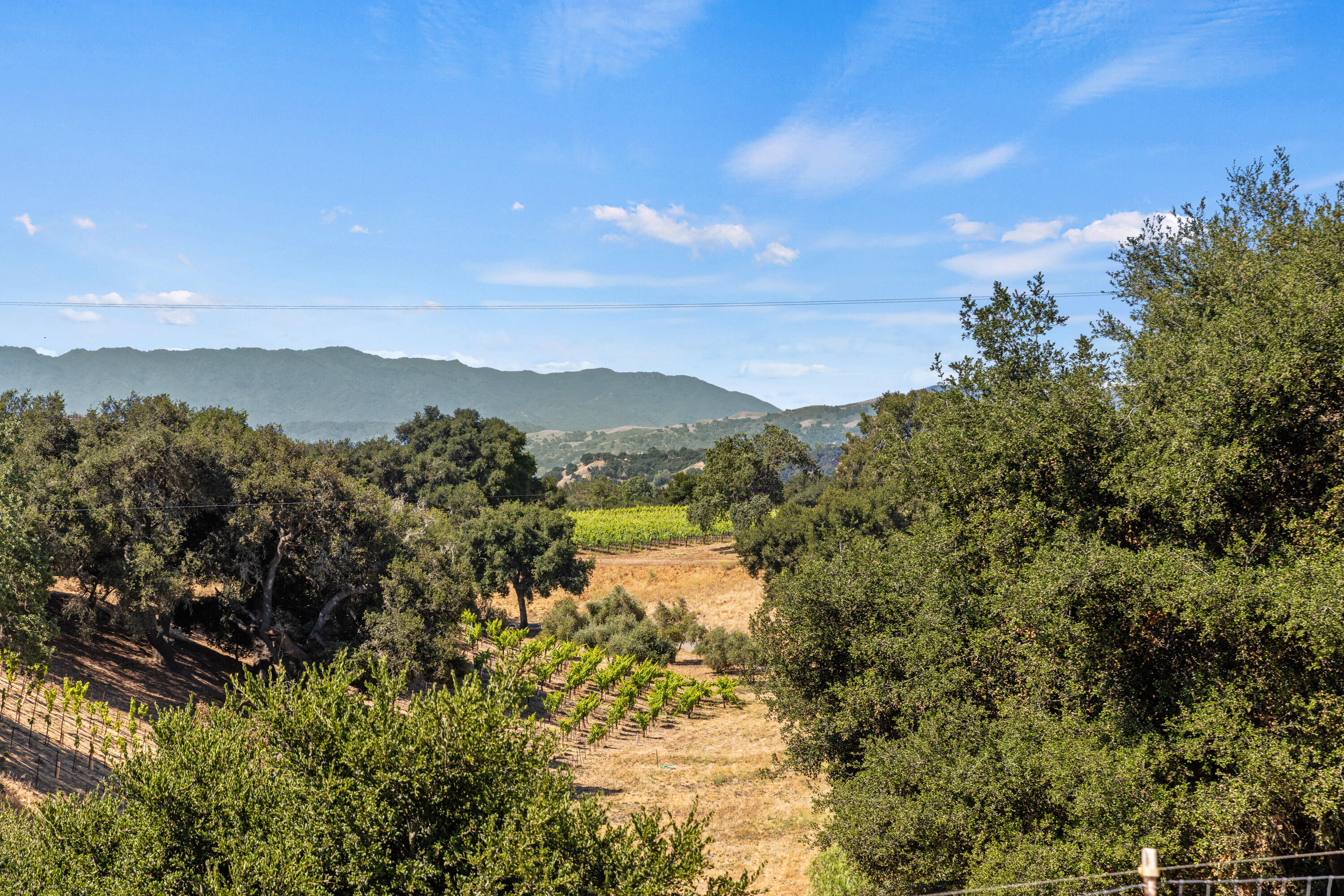 1642 Alamo Pintado Road Solvang, CA 93463 - Photo 5 of 85 1642 Alamo Pintado