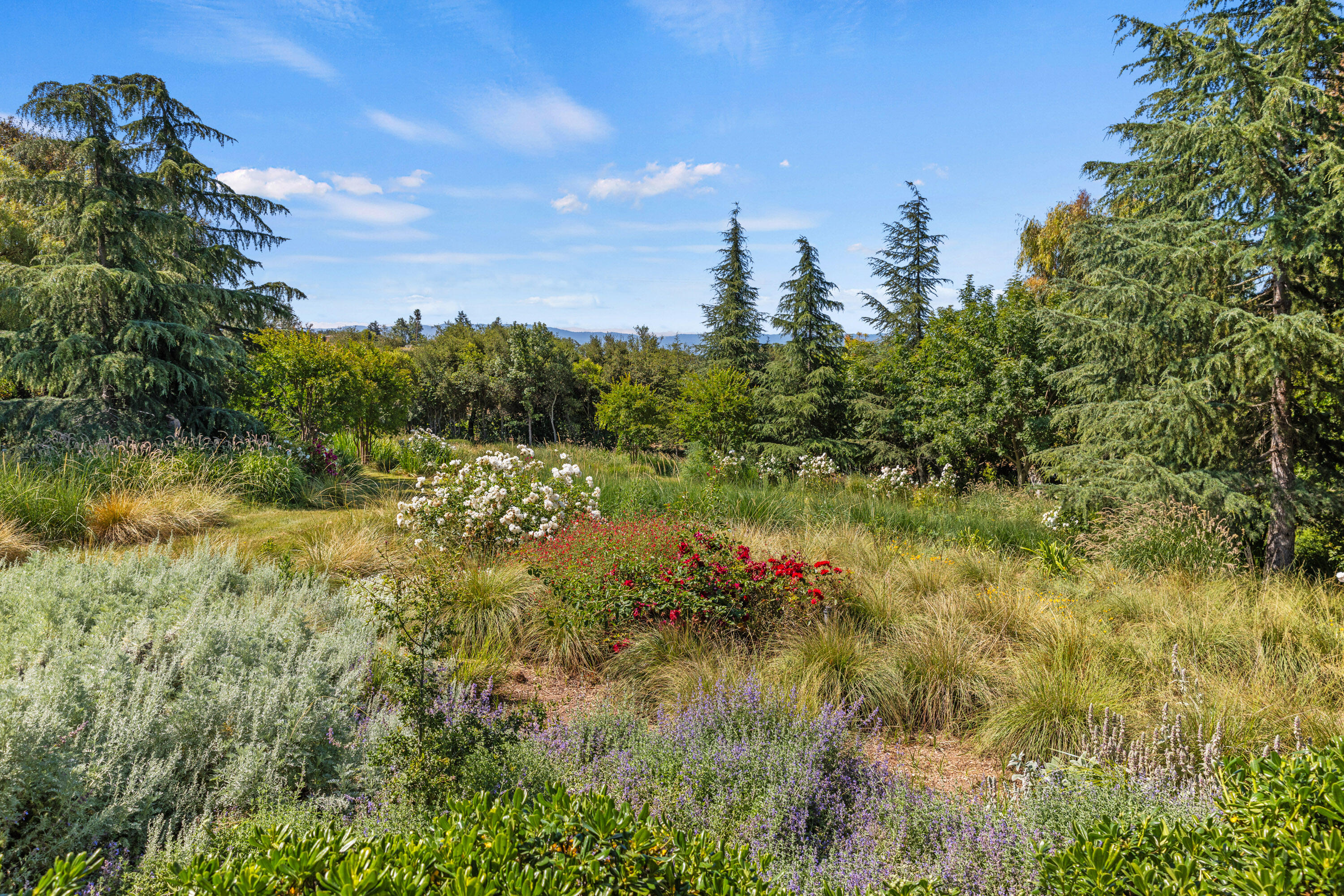 1642 Alamo Pintado Road Solvang, CA 93463 - Photo 58 of 85 a view of a lake with a house in the background