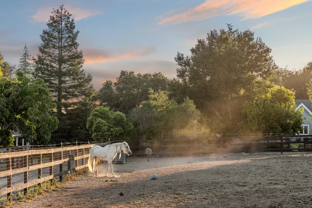 $6,750,000 | 1642 Alamo Pintado Road, Solvang, CA 93463
