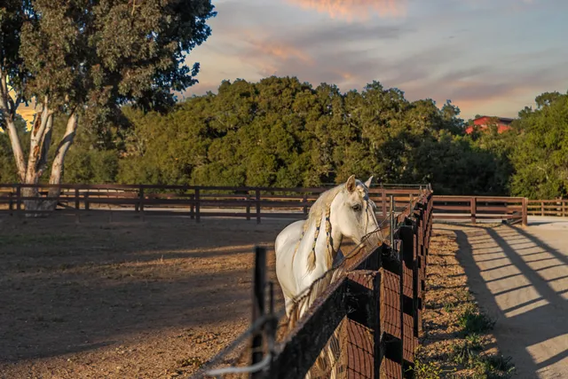 $6,750,000 | 1642 Alamo Pintado Road, Solvang, CA 93463