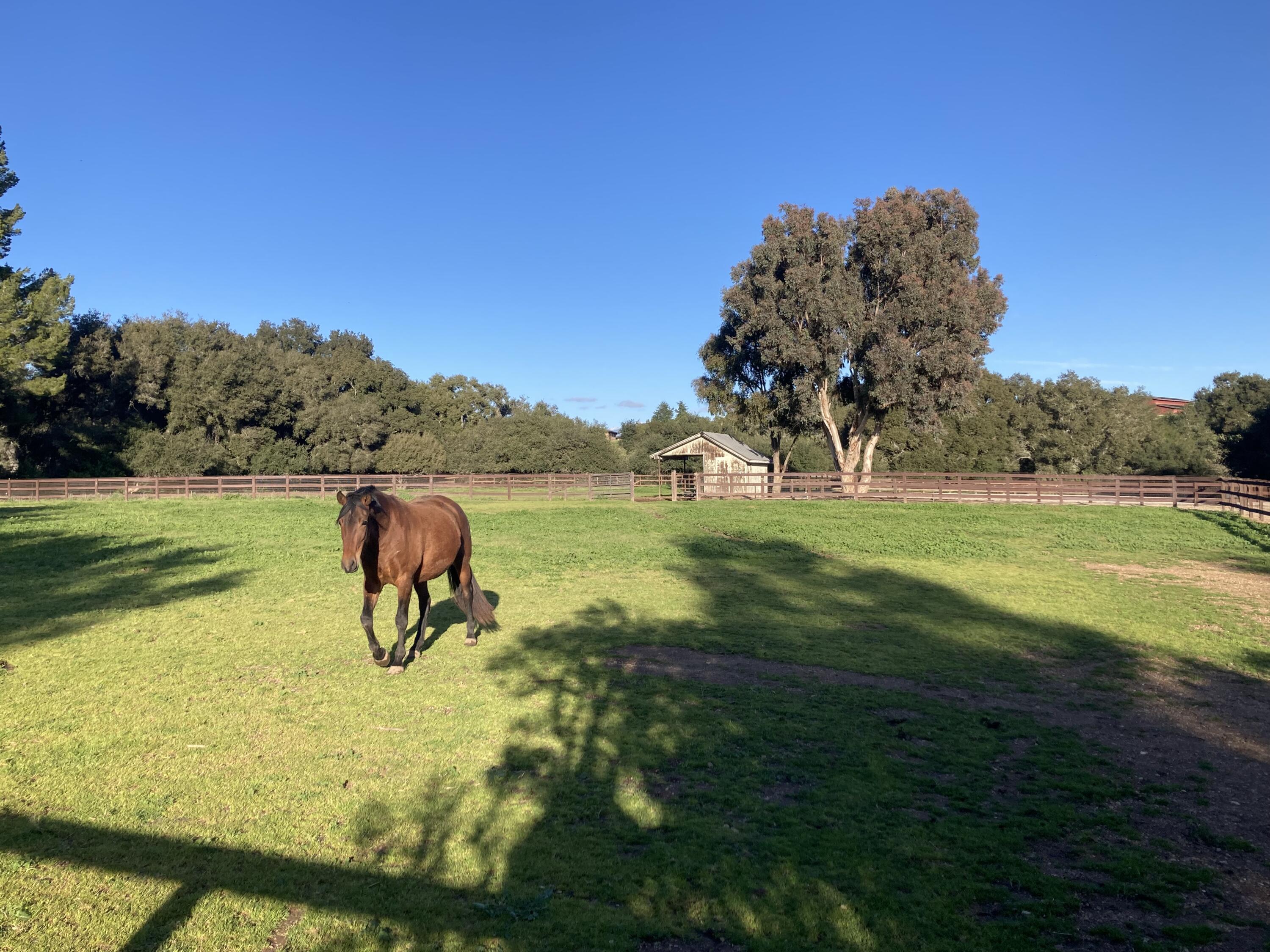 1642 Alamo Pintado Road Solvang, CA 93463 - Photo 73 of 85 1642 Alamo Pintado