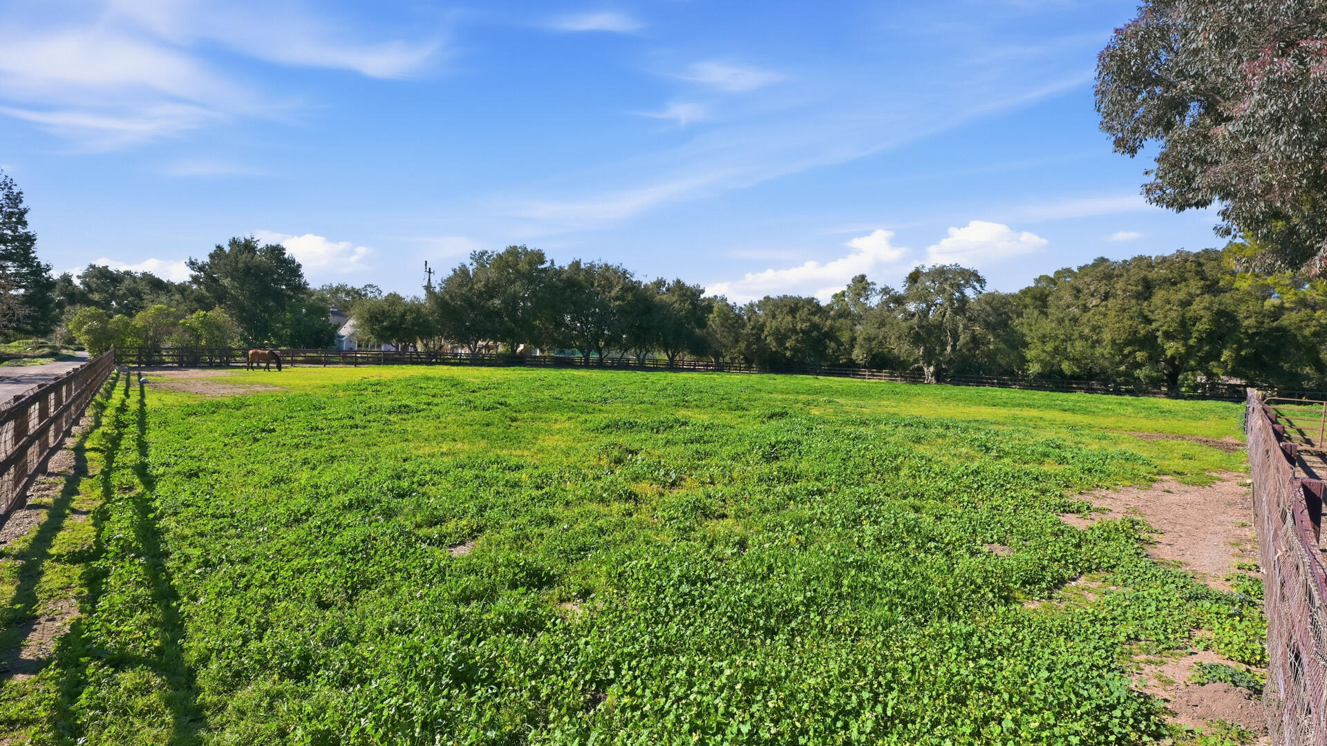 1642 Alamo Pintado Road Solvang, CA 93463 - Photo 74 of 85 1642 Alamo Pintado