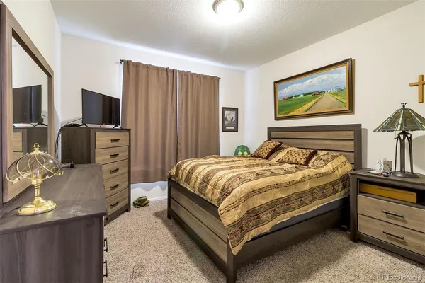 a bed room with a bed and a television