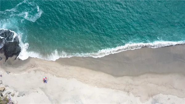 a close up of a small yard