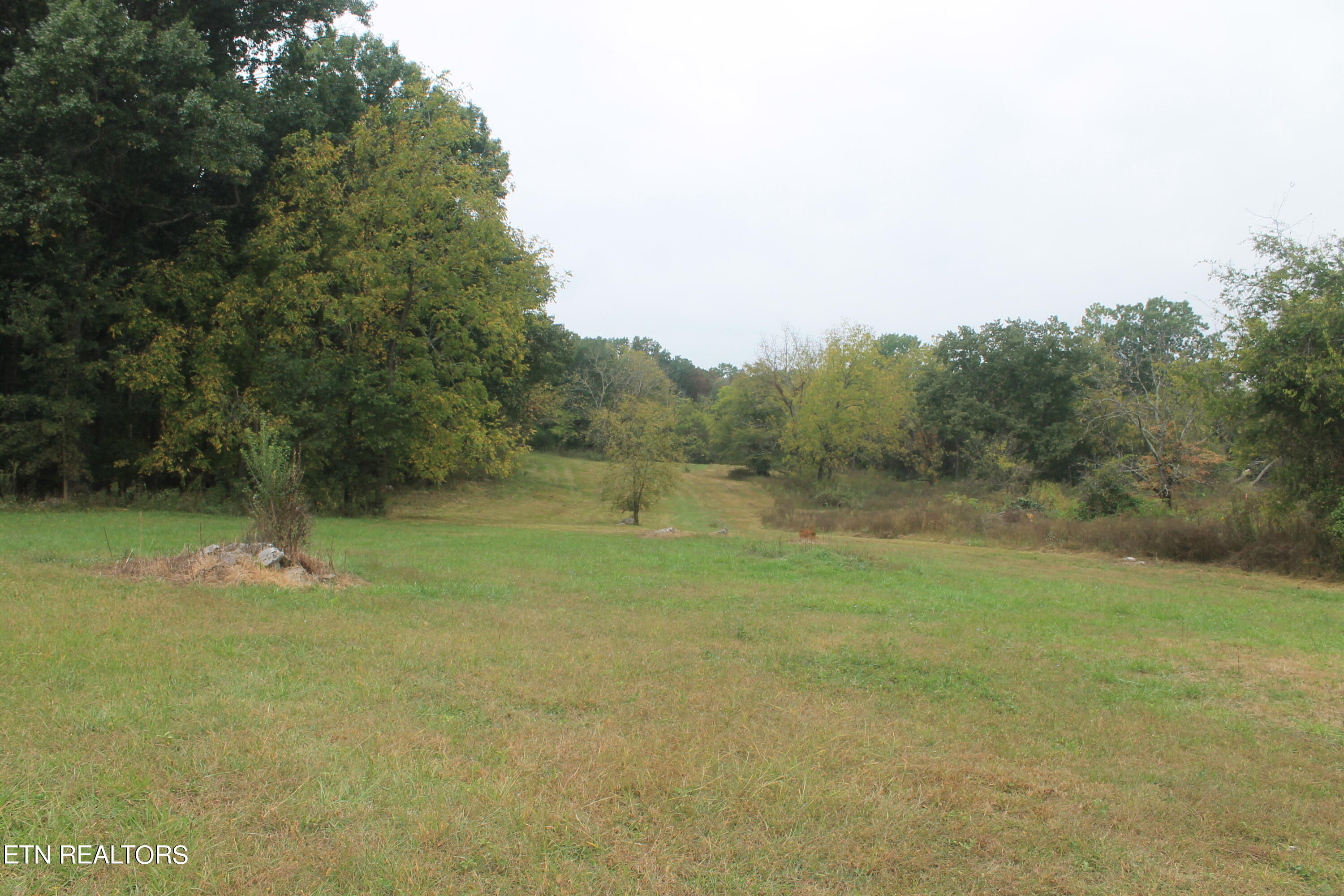 18-r2 Rhodes Road New Market, TN 37820 - Photo 5 of 12 IMG_1276