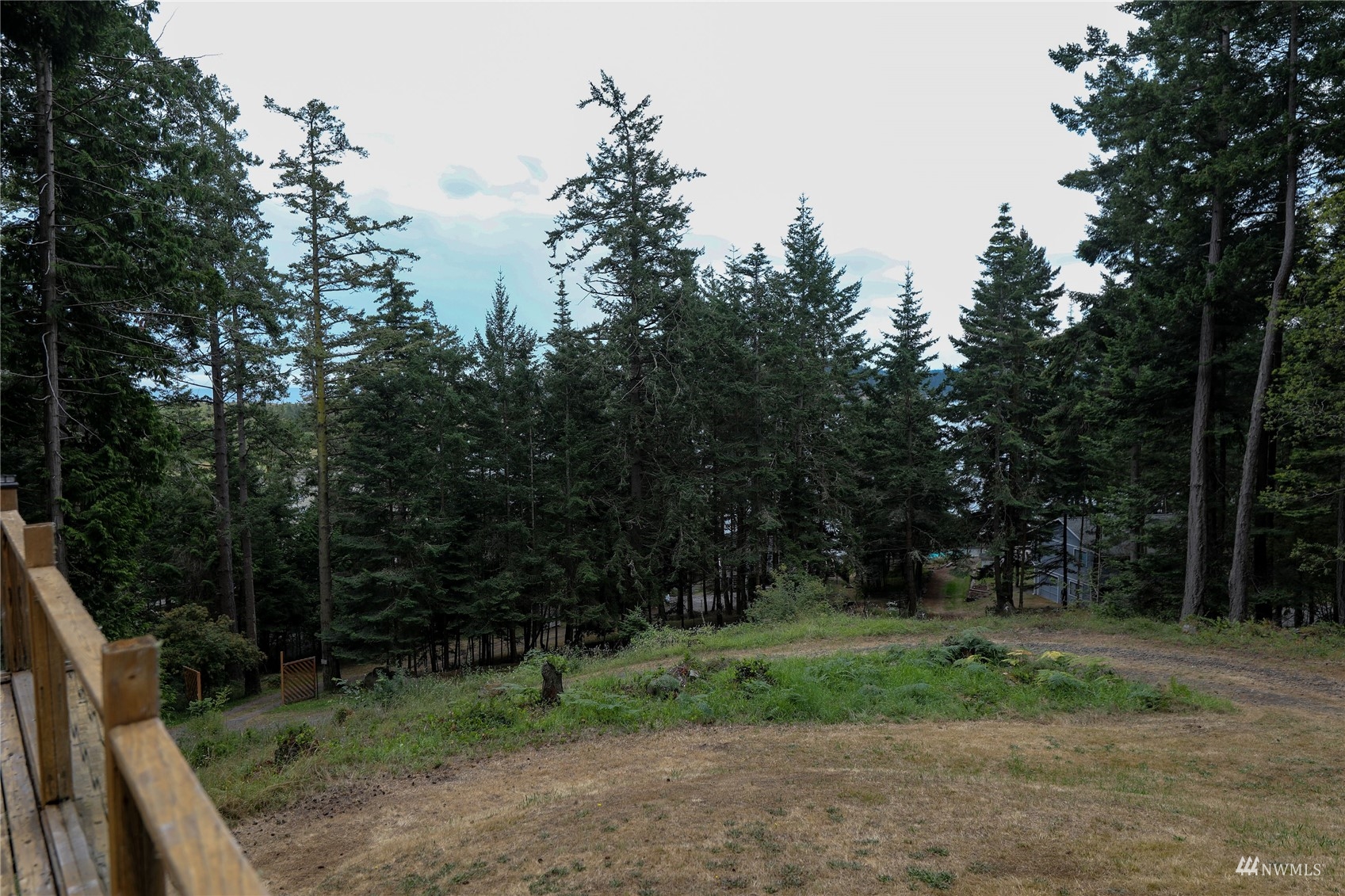 208 Reed Bay Road Decatur Island, WA 98221 - Photo 6 of 33 a view of outdoor space and garden