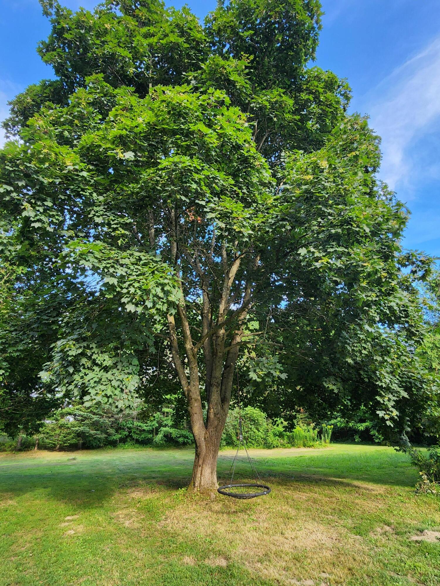 30 Ingalls Street Madison, ME 04950 - Photo 11 of 33 Side Yard