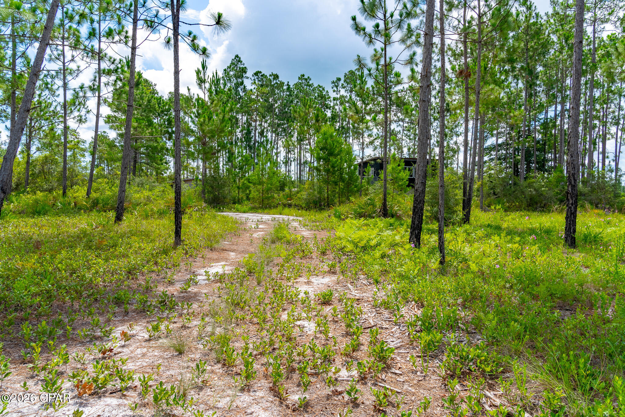 18972 Timbercrest Road Fountain, FL 32438 - Photo 30 of 30