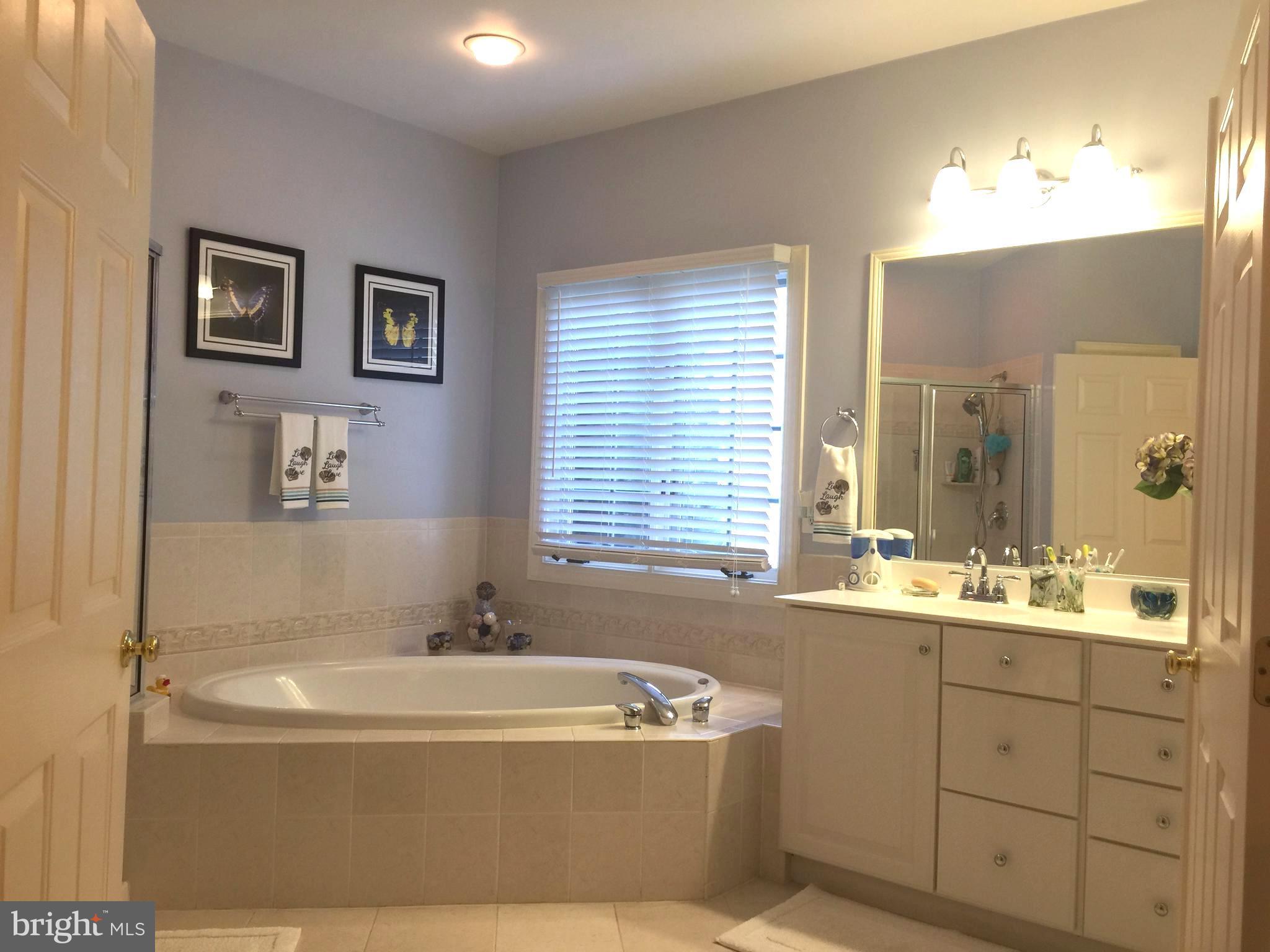 14400 Clubhouse Road Gainesville, VA 20155 - Photo 13 of 30 Bath (Master)