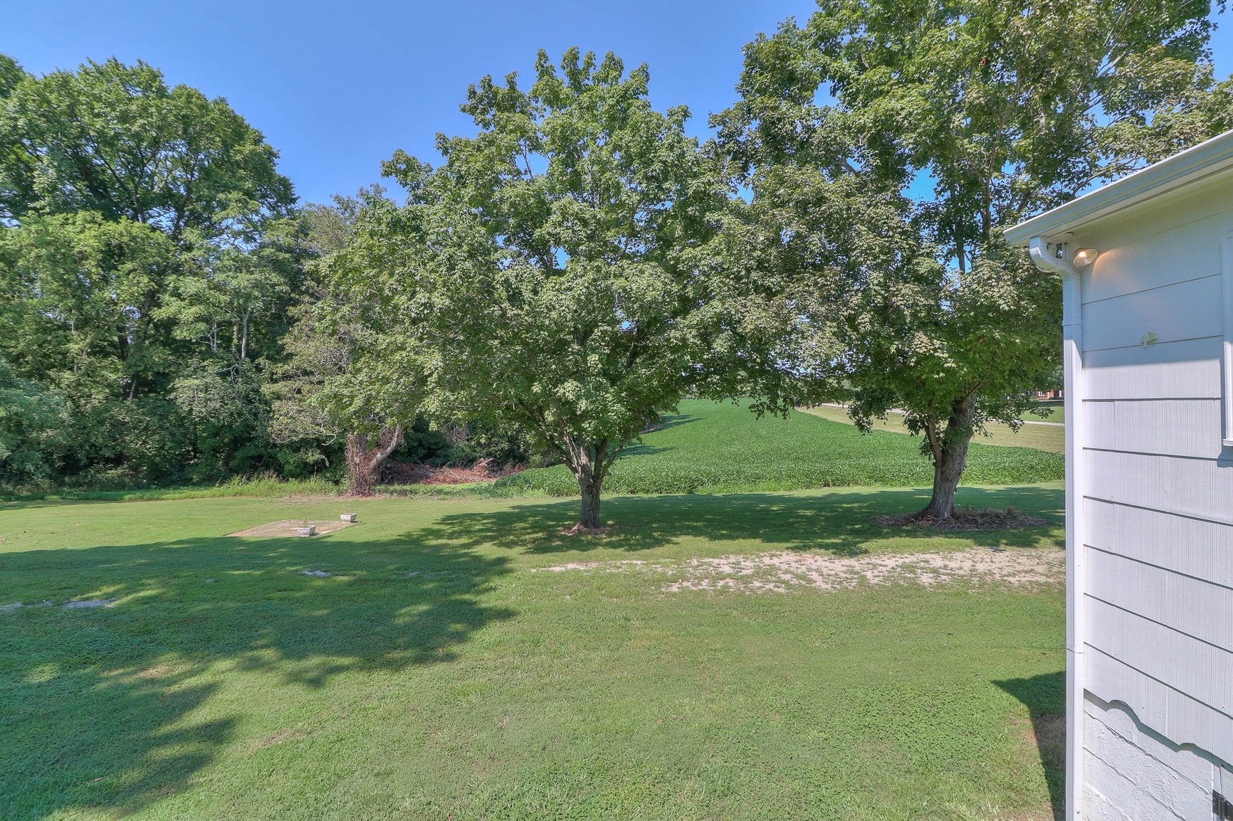 3308 Craig Bridge Road Williamsport, TN 38487 - Photo 25 of 45 a backyard of a house with lots of green space