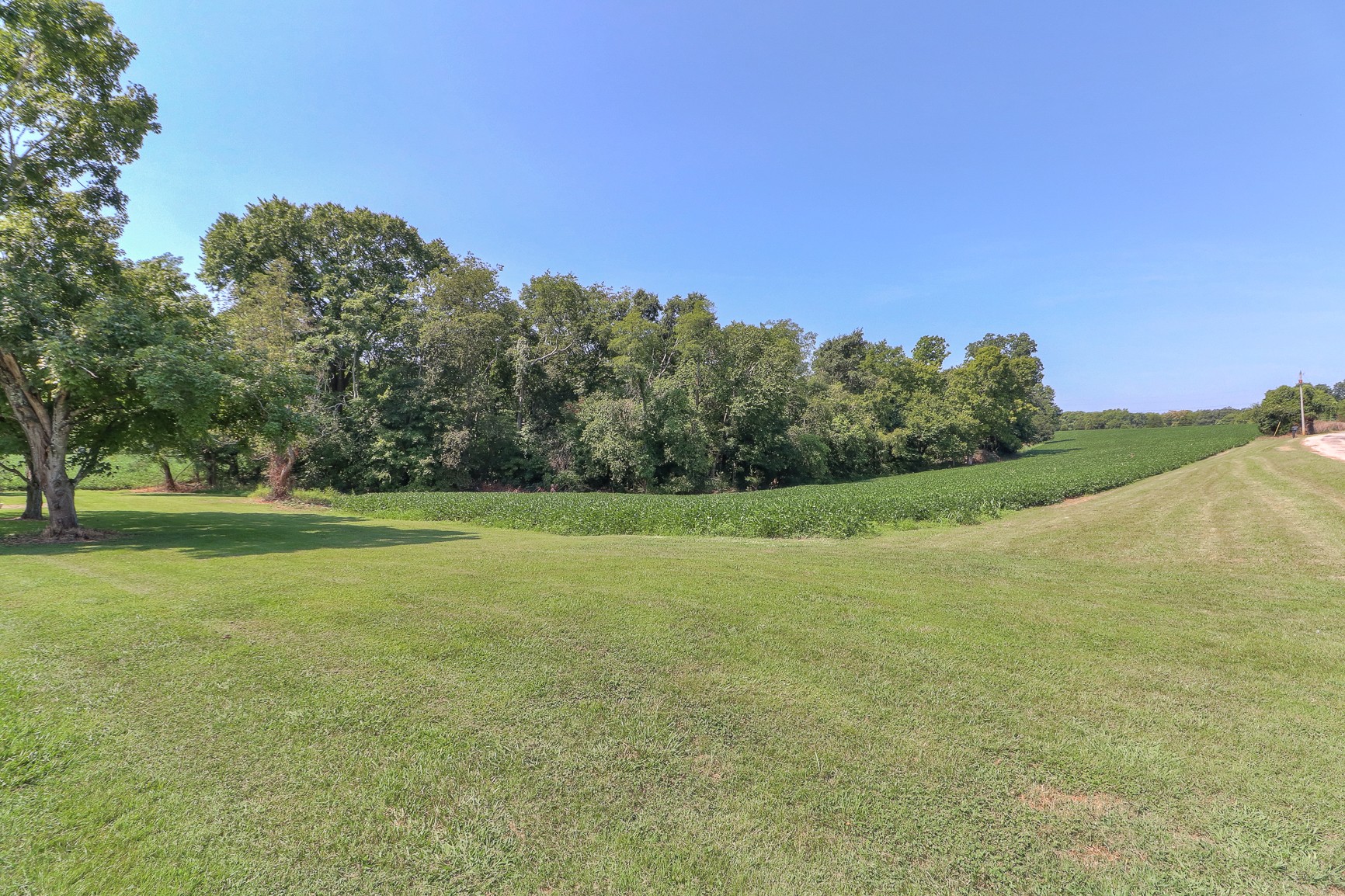 3308 Craig Bridge Road Williamsport, TN 38487 - Photo 4 of 45 a view of a field with trees in background