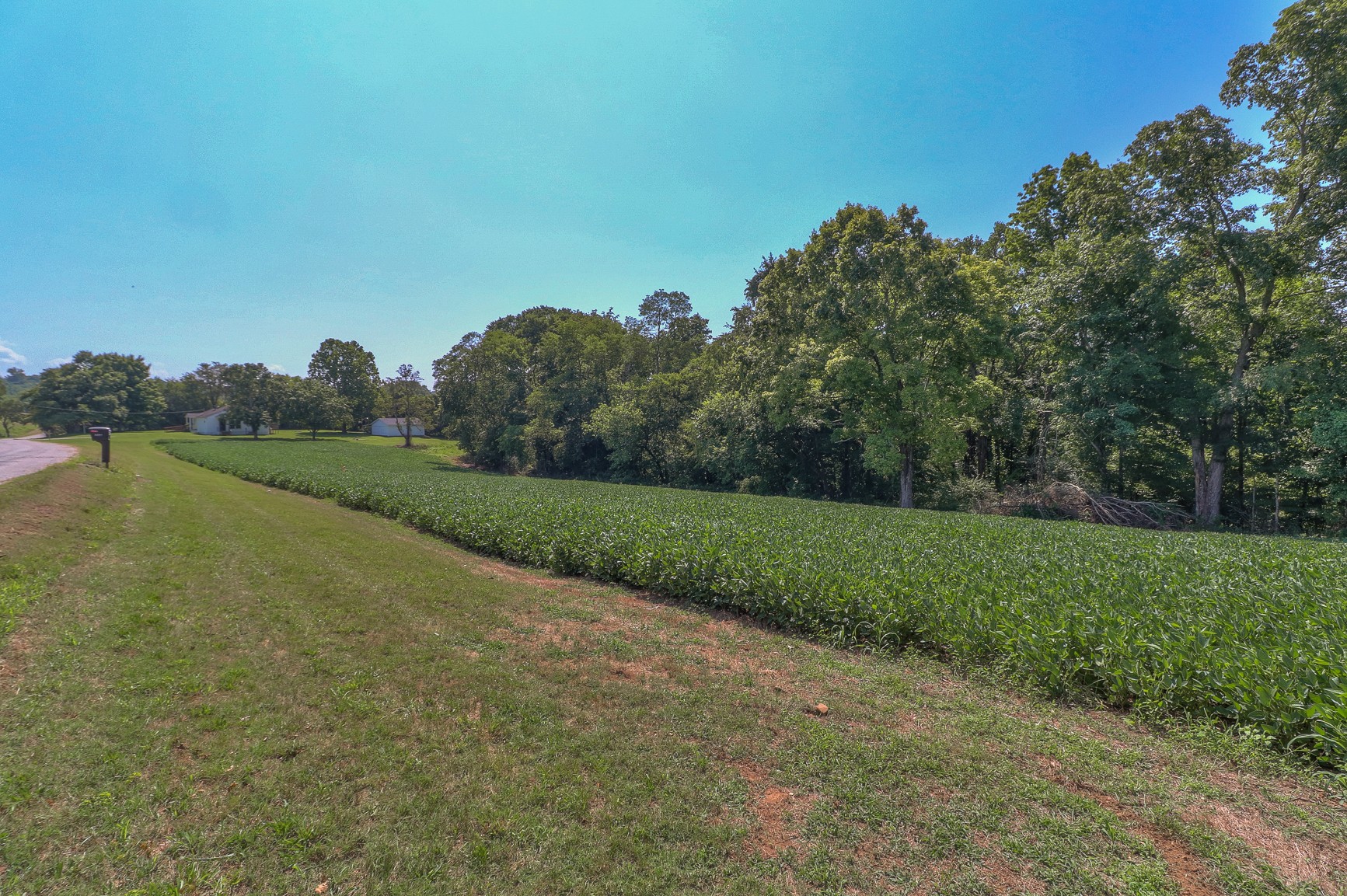 3308 Craig Bridge Road Williamsport, TN 38487 - Photo 36 of 45 a view of a field with grass and trees