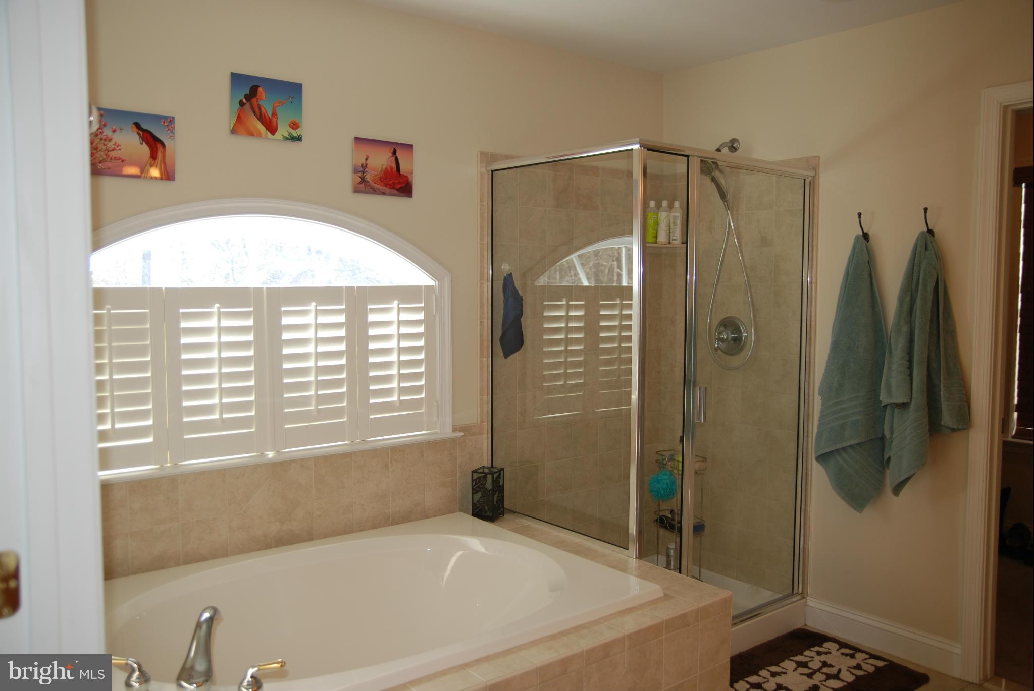 22210 Bull Road Leonardtown, MD 20650 - Photo 13 of 30 Bath (Master)