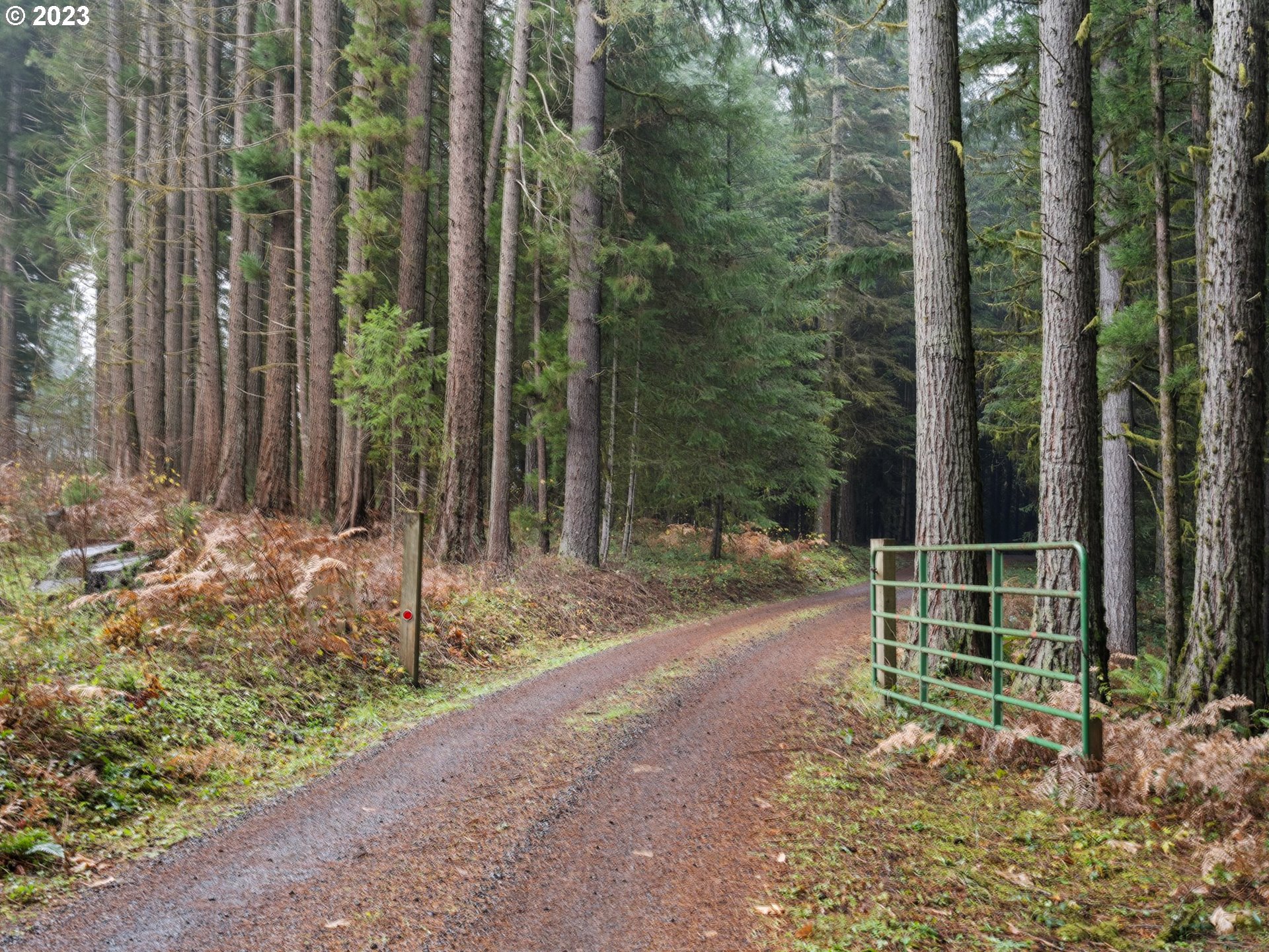 47633 Northwest Pongratz Road Banks, OR 97106 - Photo 45 of 48 Gallery Image 45