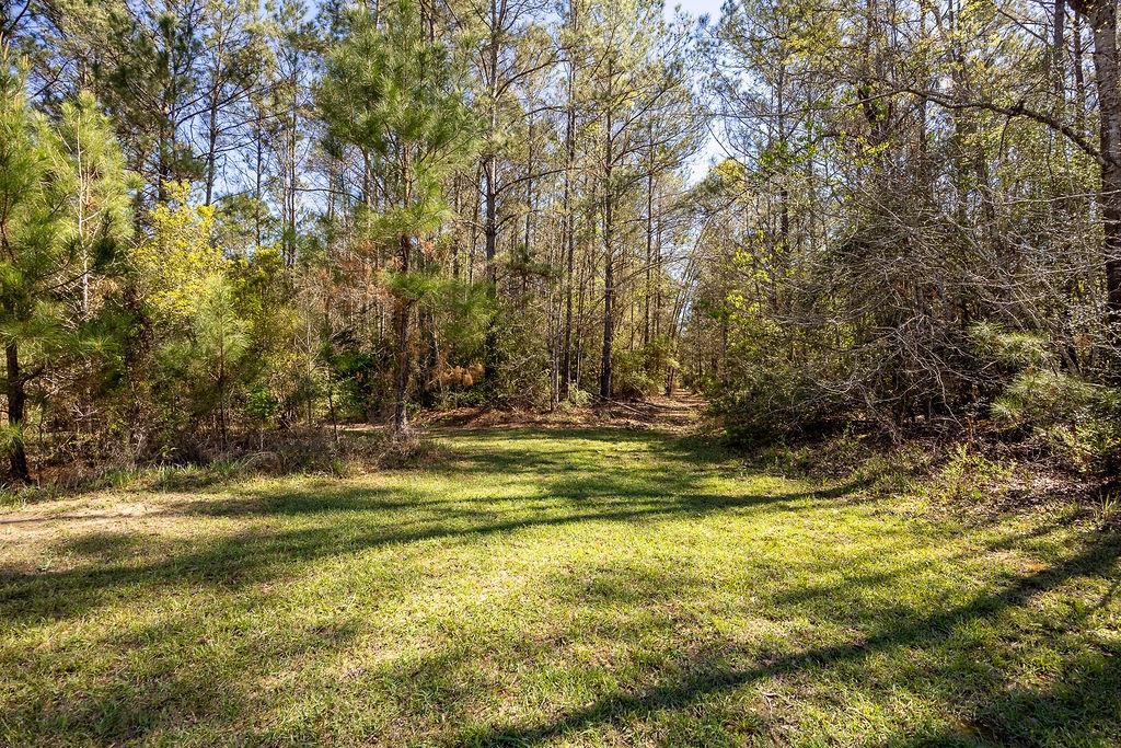 600 Old River Road Starks, LA 70661 - Photo 27 of 35