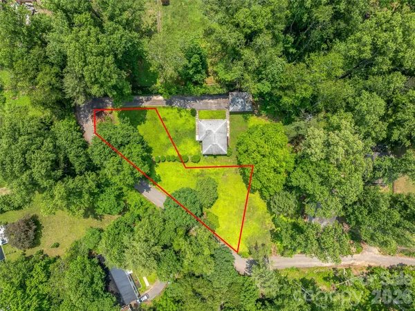 a view of a yard with plants and large trees