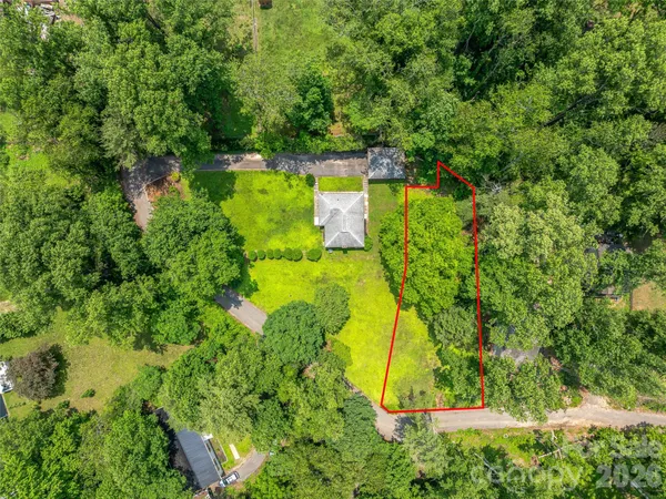 a view of a yard with plants