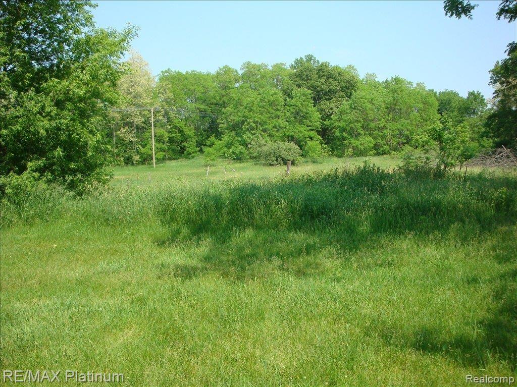 6920 Milford Road Holly, MI 48442 - Photo 6 of 8 Back Meadow