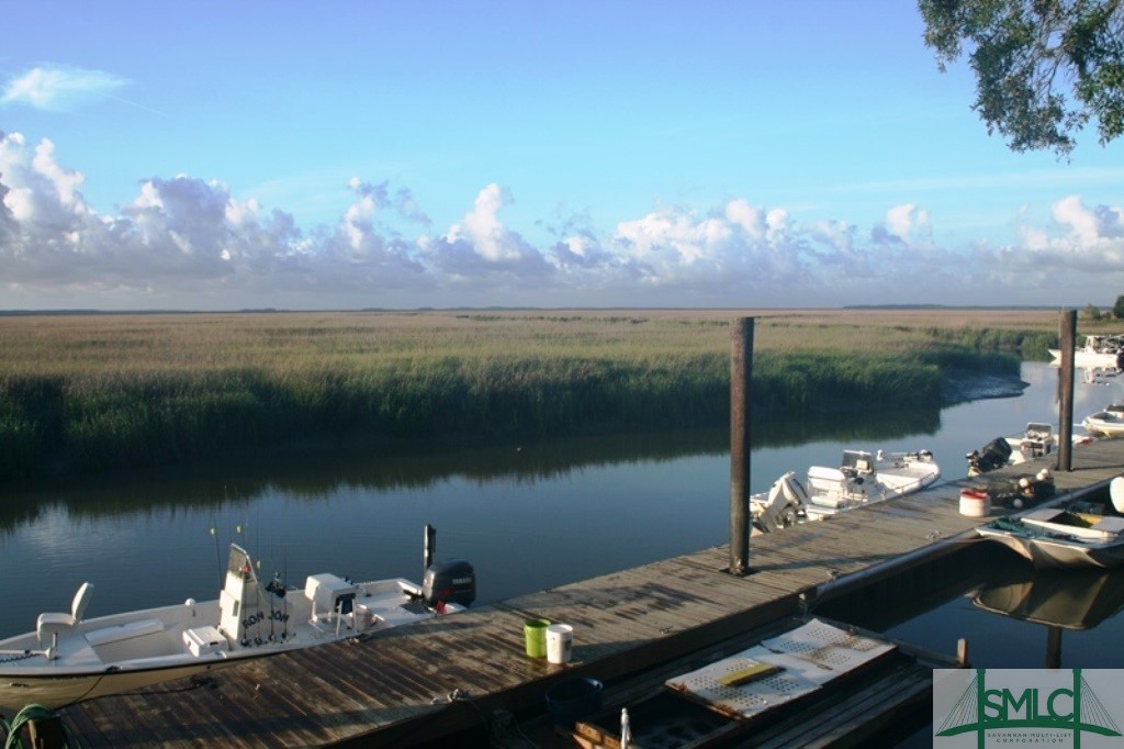 149 Yellow Bluff Road Midway, GA 31320 - Photo 30 of 43 Communiry Dock