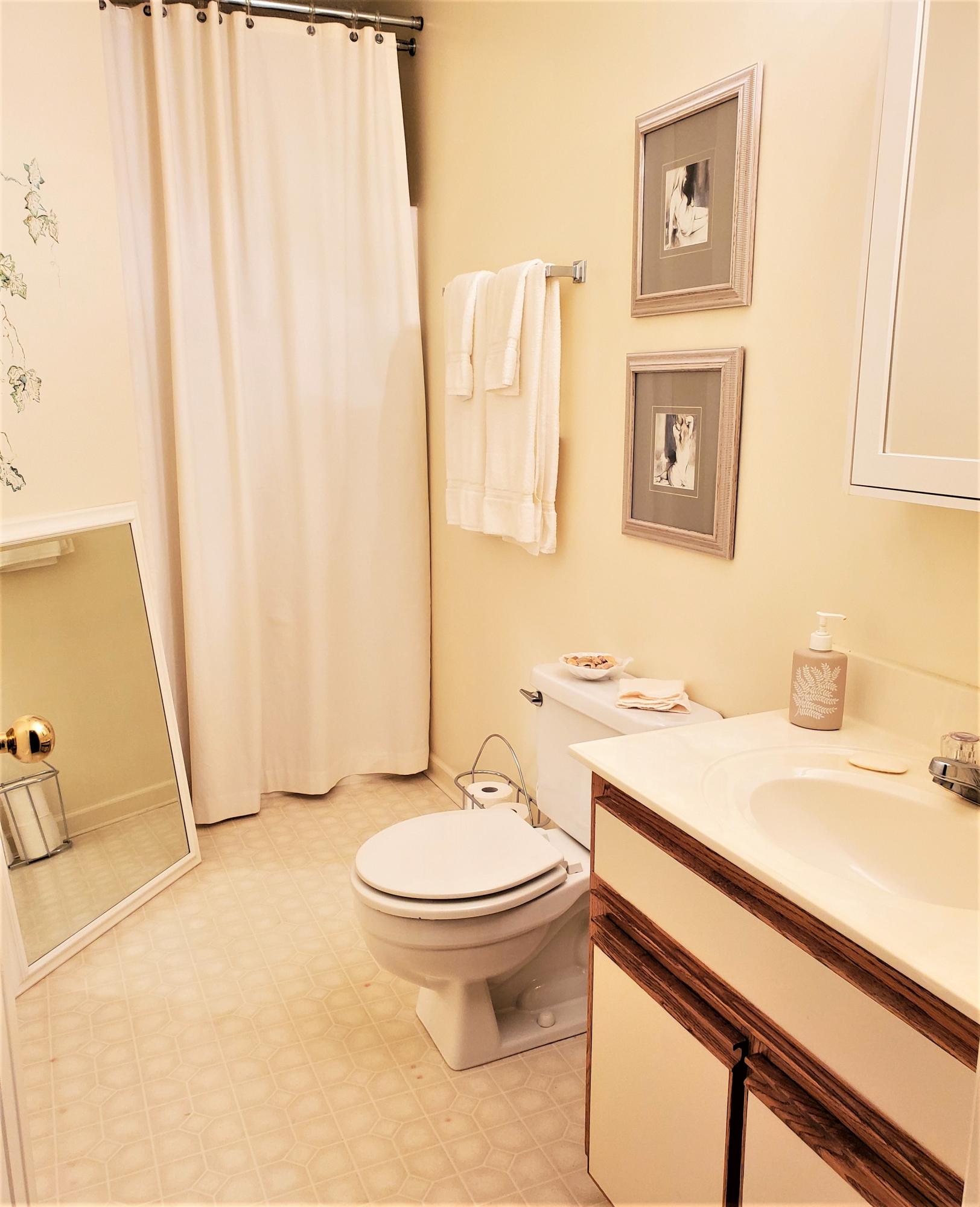 650 Monte Vista Road, Unit 402 Union Hall, VA 24176 - Photo 12 of 19 bath1