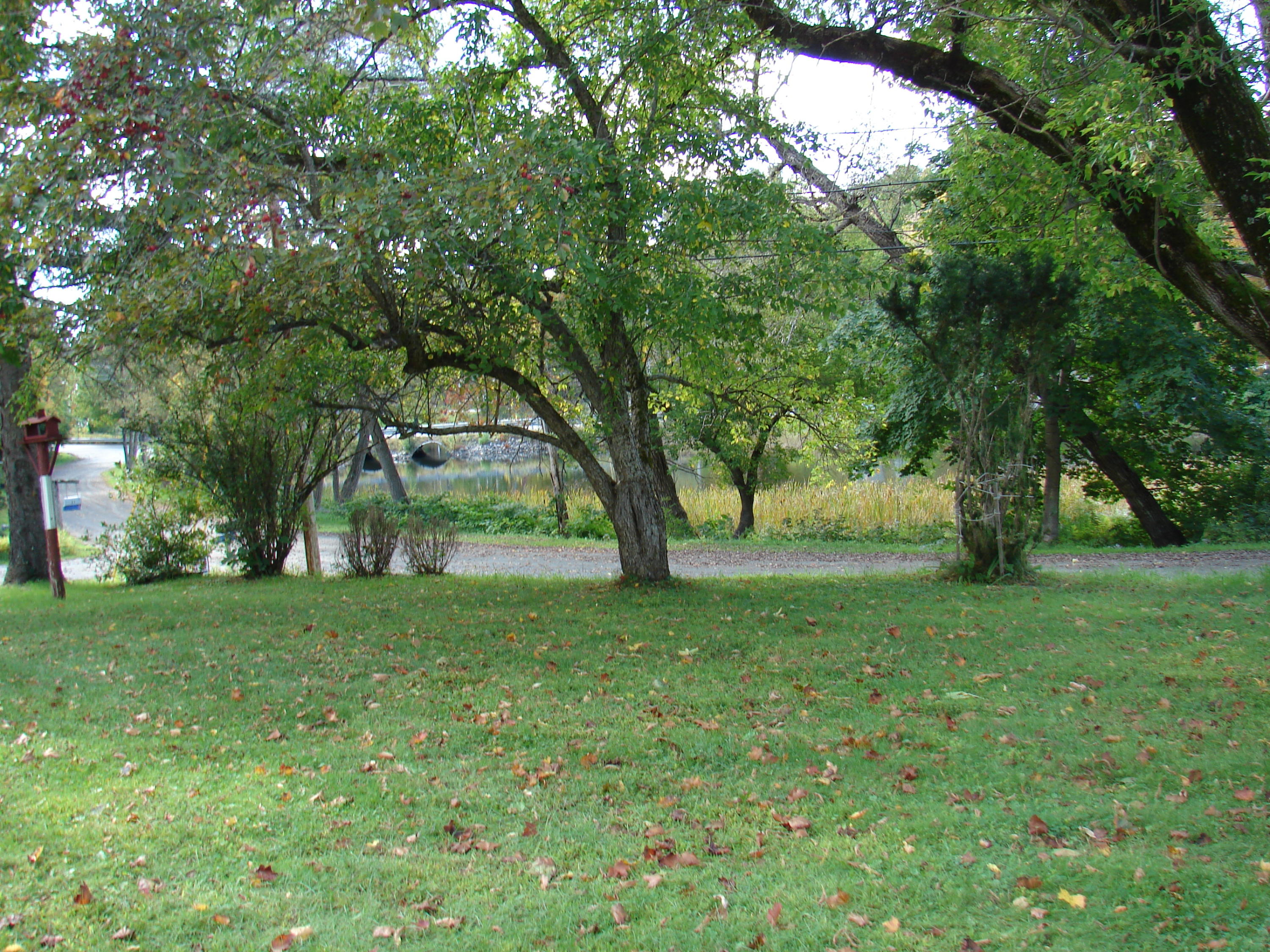 27 Mill Pond Road Madison, ME 04950 - Photo 4 of 6 Views of Mill Pond across the St