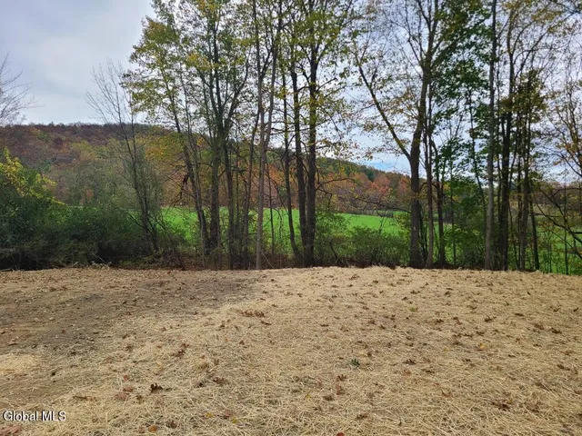 $98,000 | L10 Horton Road, Cambridge, NY 12816