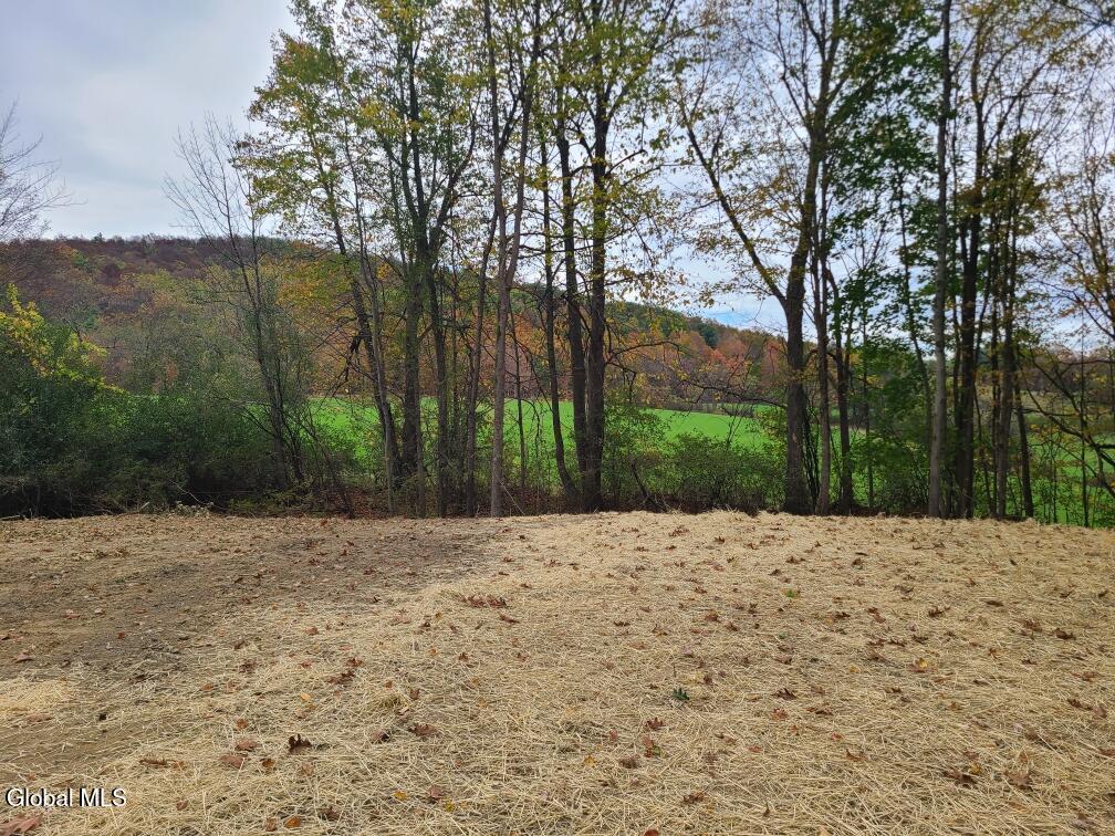 L10 Horton Road Cambridge, NY 12816 - Photo 2 of 4 Top