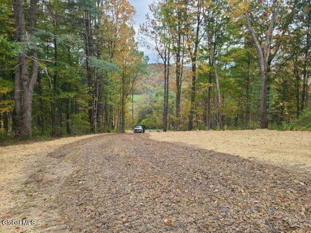 $98,000 | L10 Horton Road, Cambridge, NY 12816