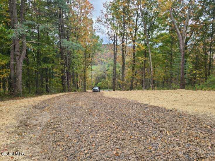L10 Horton Road Cambridge, NY 12816 - Photo 3 of 4 Driveway