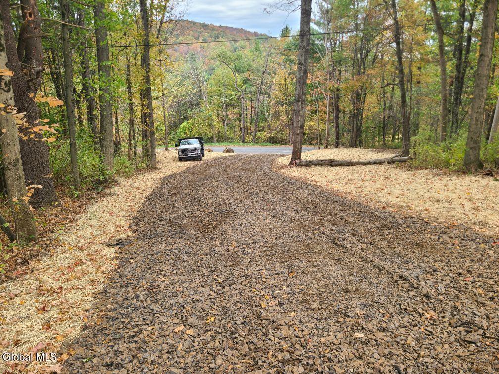 L10 Horton Road Cambridge, NY 12816 - Photo 4 of 4 Driveway
