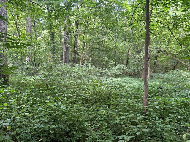 24229 Sanes Creek Road Laurel, IN 47024 - Photo 34 of 54