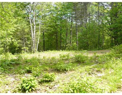 0 Howes Cove Road Liberty, ME 04949 - Photo 5 of 8 Land.