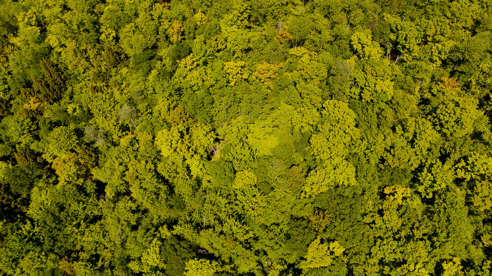 16 Beach View Road Dover-Foxcroft, ME 04426 - Photo 39 of 56 DJI_20260603140125_0572_D