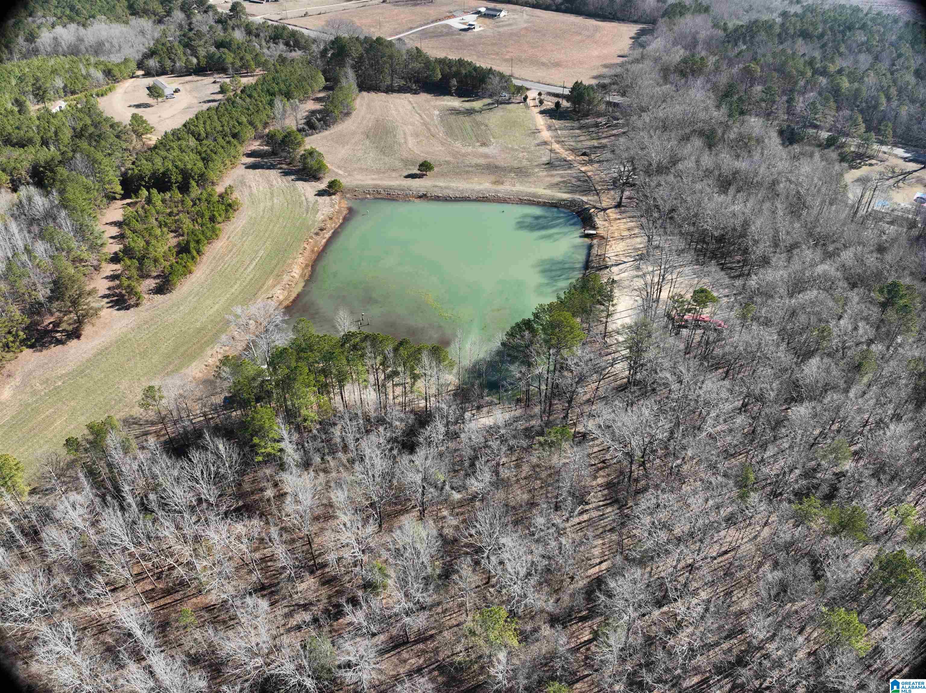 6171 Highway 102, Unit 1 Fayette, AL 35555 - Photo 12 of 68