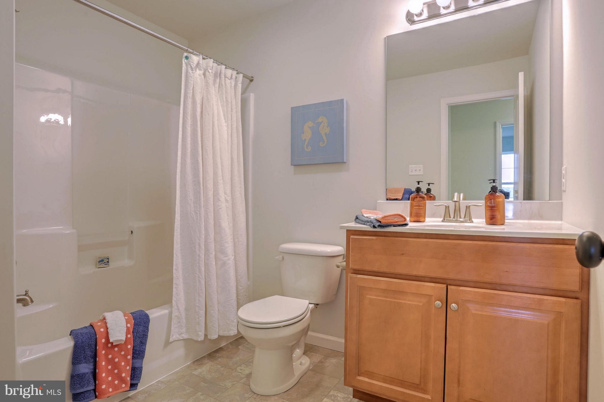 262 East Oregon Road Lititz, PA 17543 - Photo 29 of 34 Full Bathroom