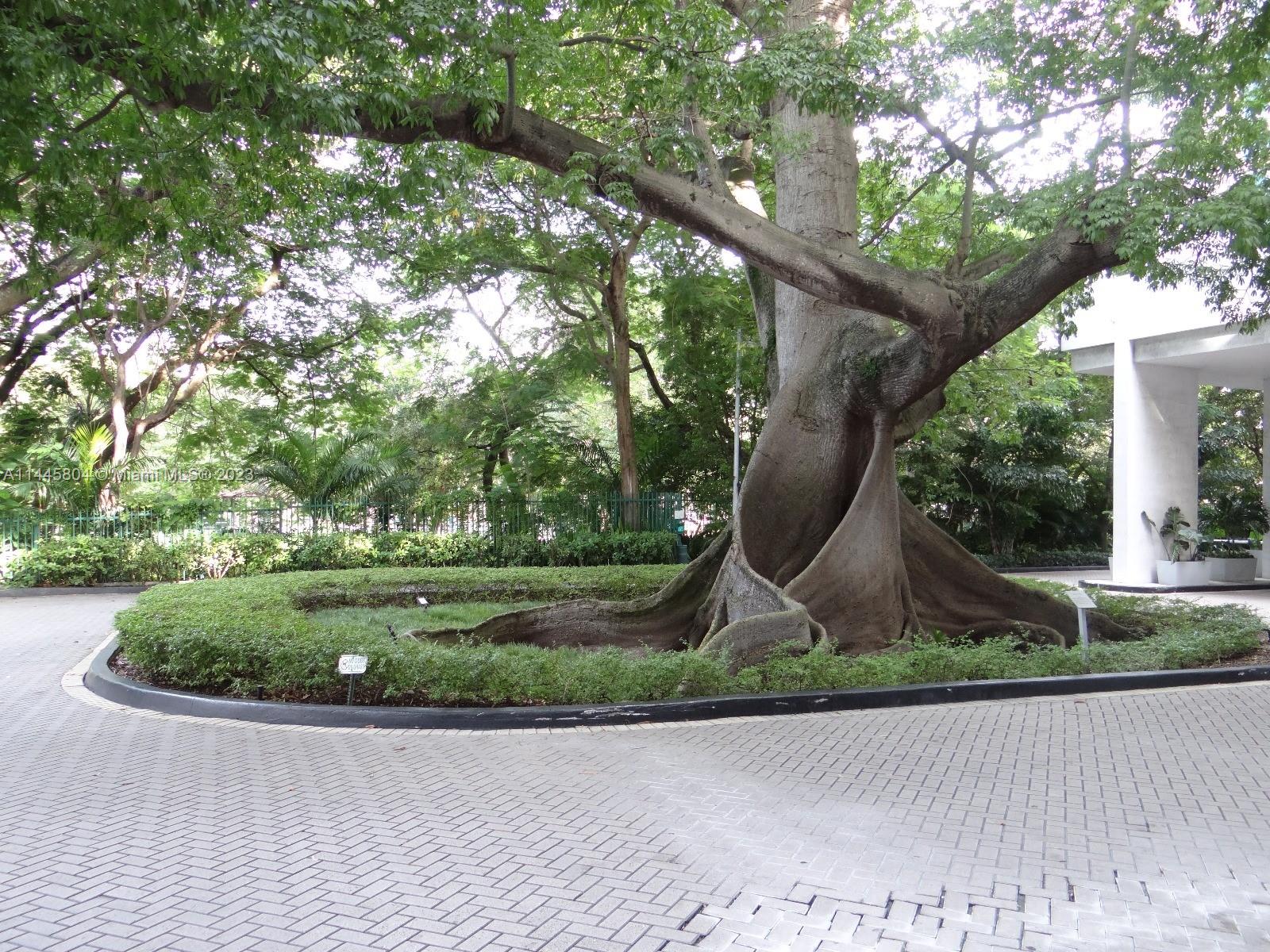 Grapeland Heights Miami, FL 33125 - Photo 35 of 36 a front view of a house with garden