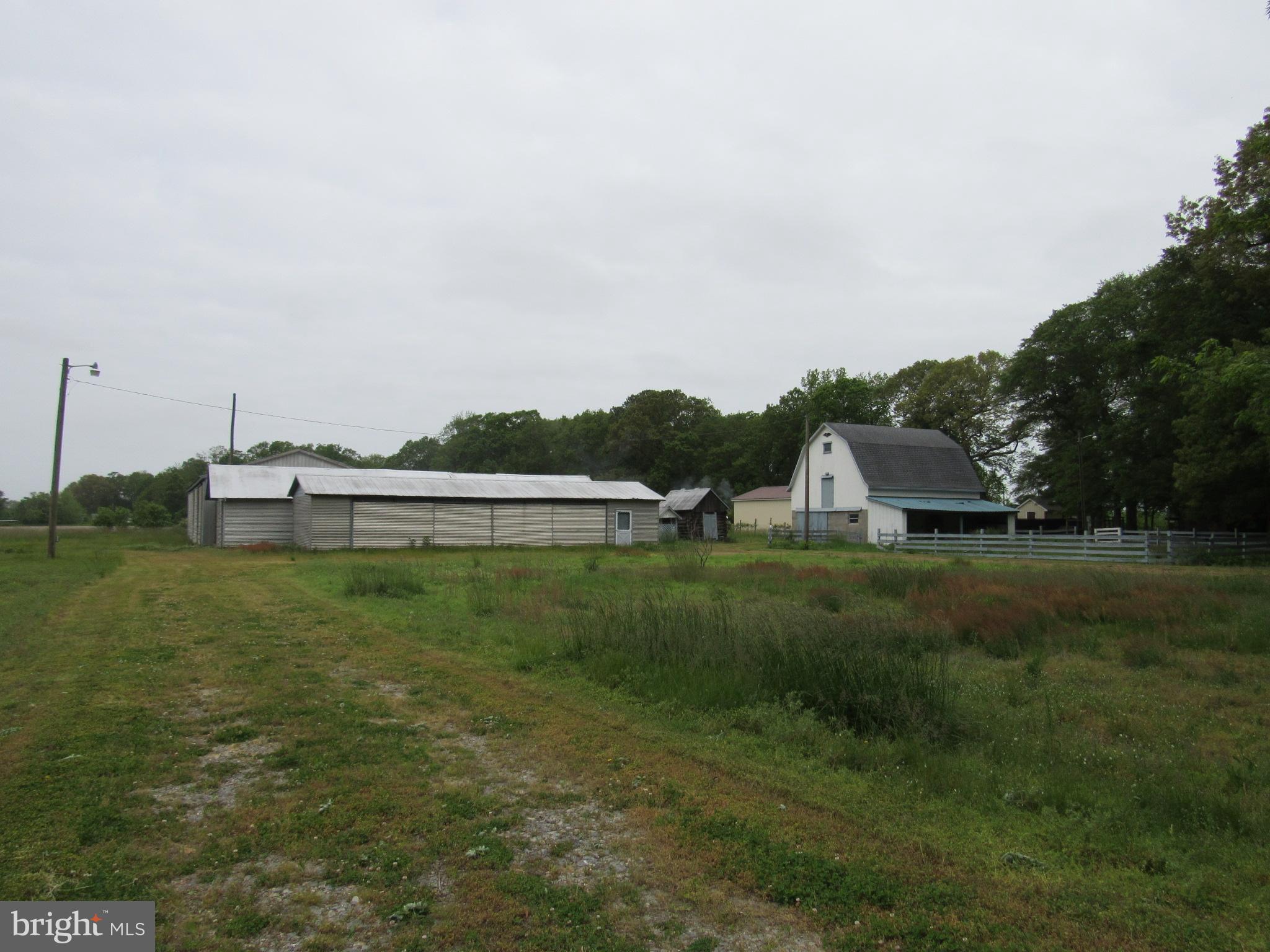 0 Discount Land Road Laurel, DE 19956 - Photo 4 of 11 Gallery Image 4