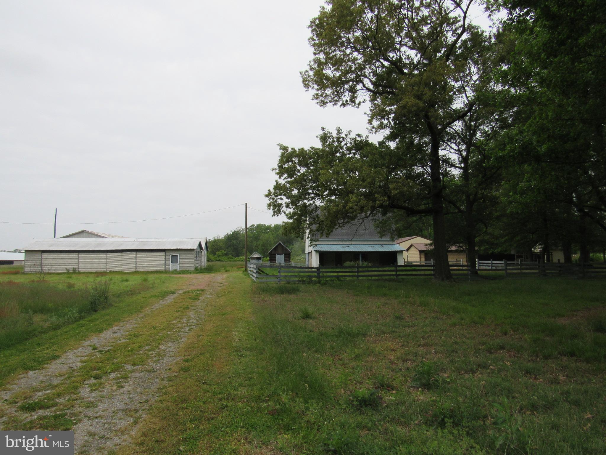 0 Discount Land Road Laurel, DE 19956 - Photo 5 of 11 Gallery Image 5