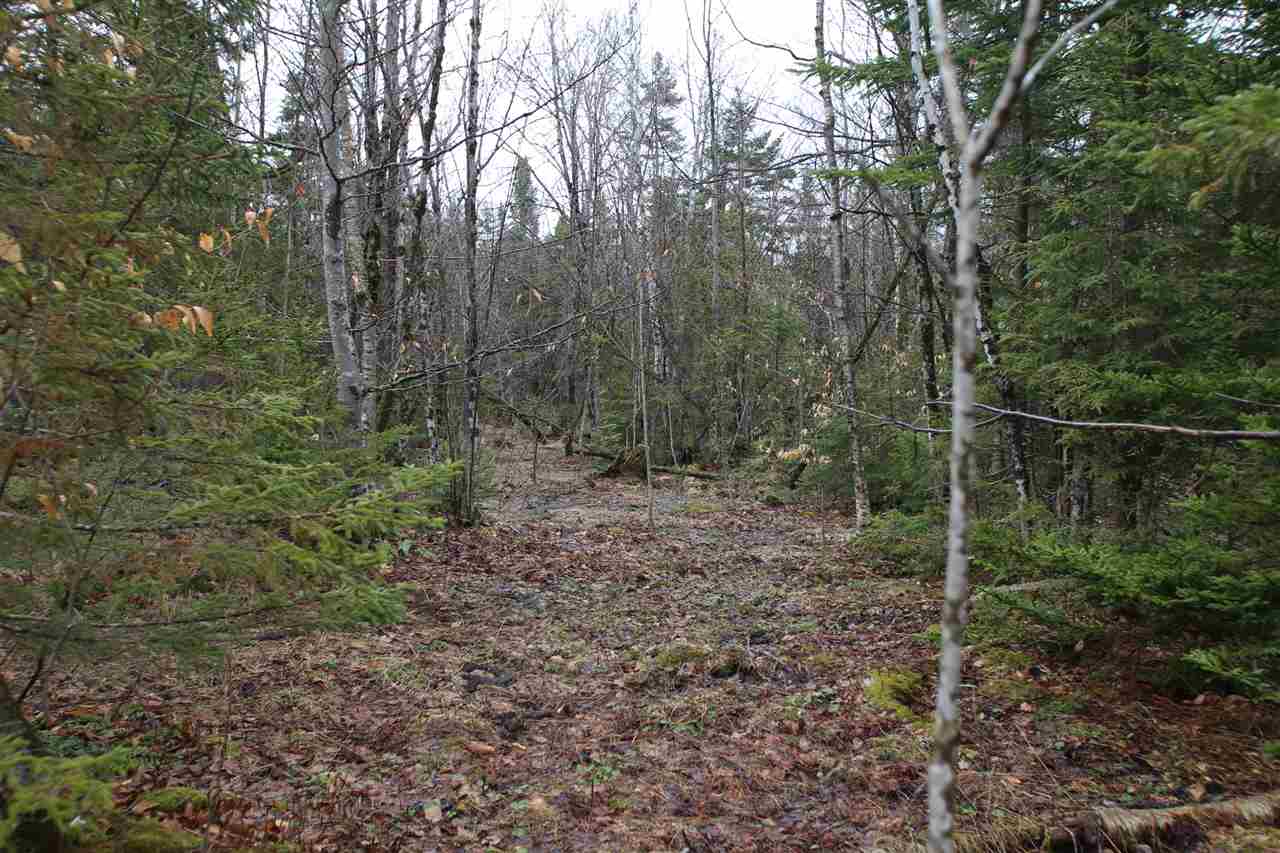 3005 Hazen Notch Road Lowell, VT 05847 - Photo 11 of 24