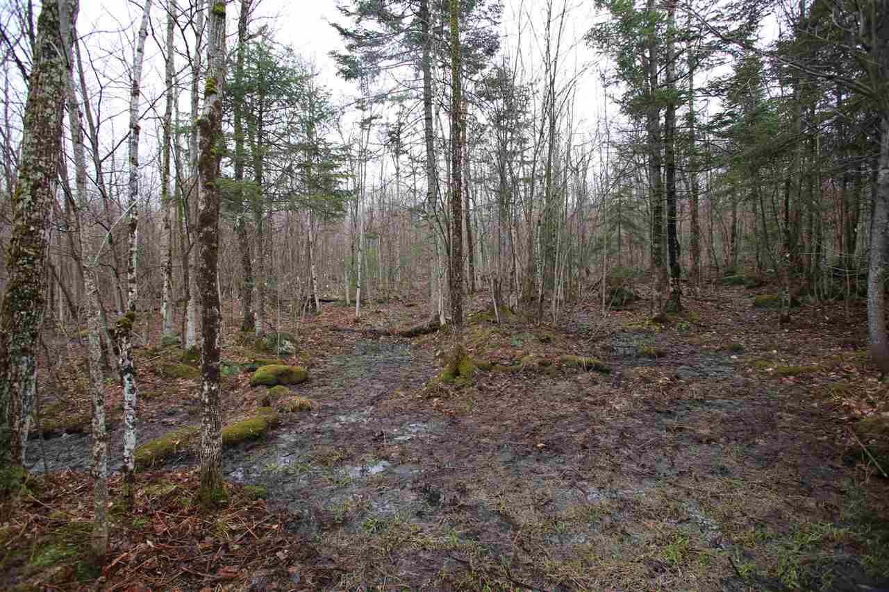 3005 Hazen Notch Road Lowell, VT 05847 - Photo 12 of 24