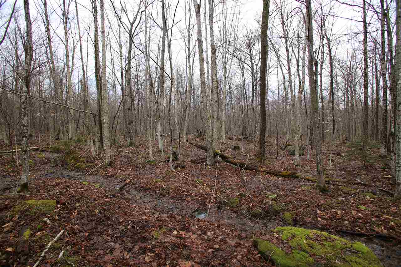 3005 Hazen Notch Road Lowell, VT 05847 - Photo 13 of 24