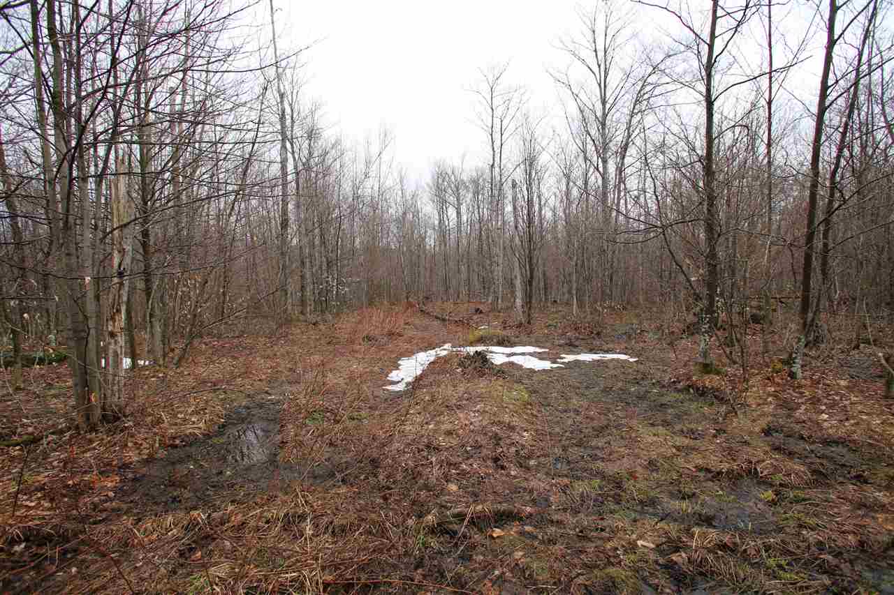3005 Hazen Notch Road Lowell, VT 05847 - Photo 15 of 24