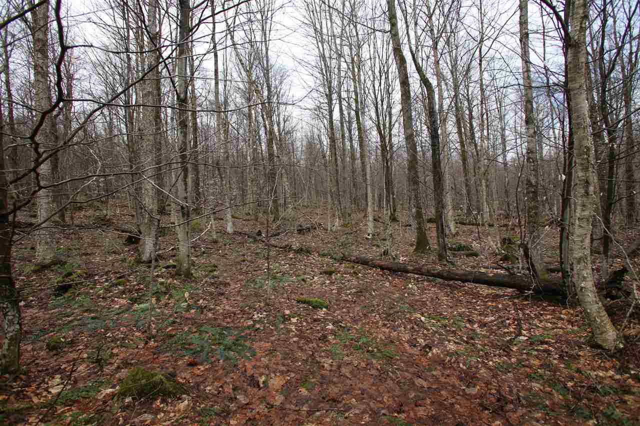 3005 Hazen Notch Road Lowell, VT 05847 - Photo 16 of 24