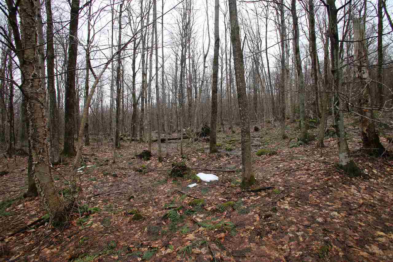 3005 Hazen Notch Road Lowell, VT 05847 - Photo 17 of 24